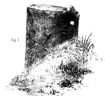 Bridle Stone at Ruillick