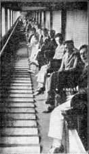 Escalator Cunningham's camp,Douglas