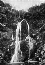 Dhoon Falls