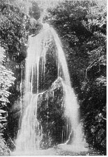 Dhoon Falls