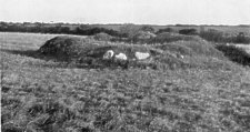 View of the Ruins of the Keeill at Sulbrick, Santan