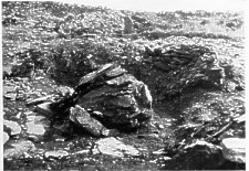 Cashtal yn Ard ; remains of central platform in mound of burnt material