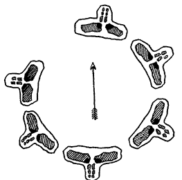 conjectured ground plan of Meayll Circle without ring mound