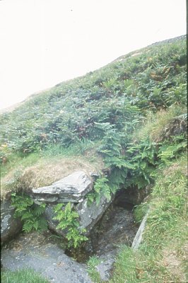 St Maughold's Well