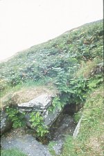St Maughold's Well