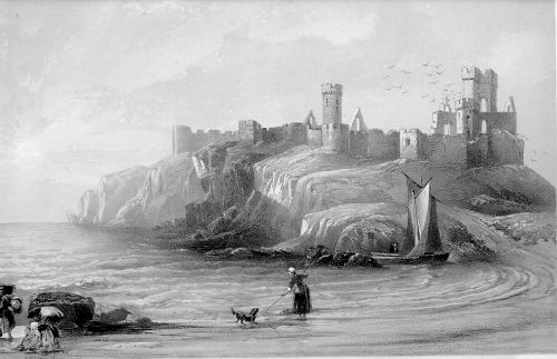 Peel Castle(summer) - Burkill 1857