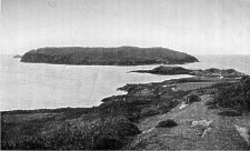 Calf Island