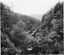 In Sulby Glen