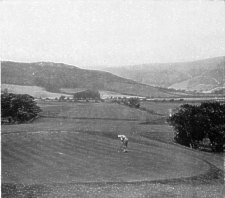Ramsey - on the Golf Links