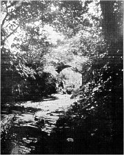 The Tail Race, Colby Mill